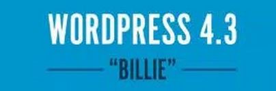 Wordpress4.3Billie
