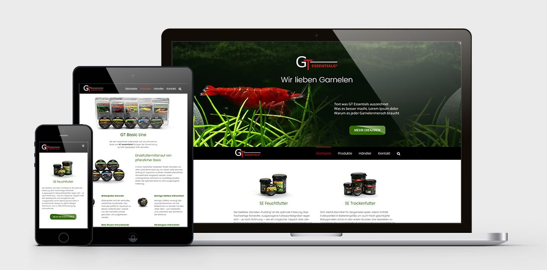 GT Essentials Webseite